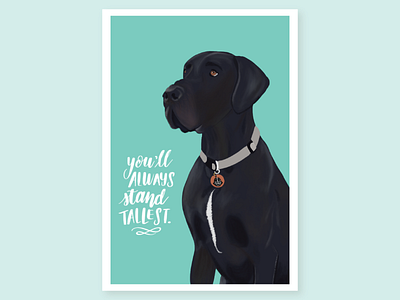 In Honor of Great Dane Vader dog great dane handlettering illustration procreate vader