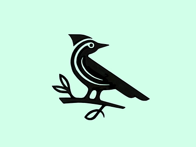 Woodpecker Sketch bird branch design doctor forest logo nature sketch woodpecker