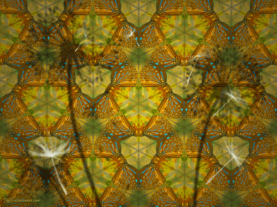 Kaleidoscope of Life art butterflies dandelion dream infinity kaleidoscope matter nature pattern psychedelic sacred geometry surreal