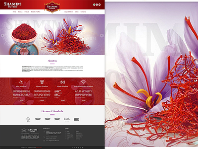 Saffron Website Template saffron webpage template website interface