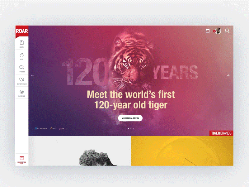 Roar Platform interaction design ui ux