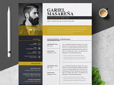 Professional Word Resume CV Template a4 cv cv template doc modern resume professional resume resume template