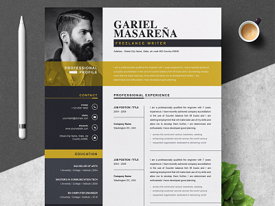 Professional Word Resume CV Template a4 cv cv template doc modern resume professional resume resume template