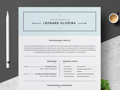 Clean Resume Template | Simple CV a4 cv cv template doc modern resume resume template