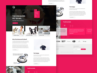 Pet Web Design clean design pet pink ui user userexperience userinterface ux web webdesign