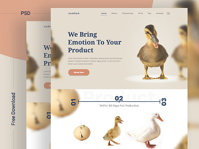 DuckPack Landing Page ll Free Download 2018 download free freebie landing psd simple template ui uidesign ux