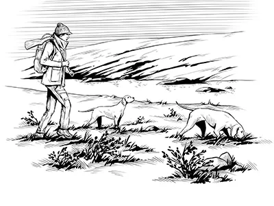 Fjallraven 17 concept fjallraven illustration logo