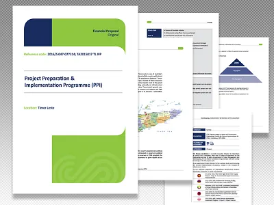 Timor Leste charts consulting graphic design graphics igor sandic infohraphics master template tender tender documentation design