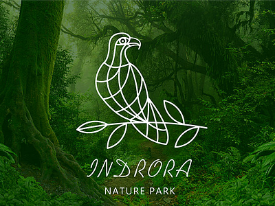 Wildlife Sanctuary - 01 branding eagle fatlineillustration illustration nature