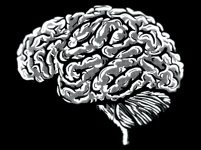 Paradowski Brain T-Shirt Design brain paradowski t shirt