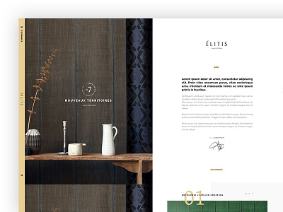 Elitis alt version uiux design webdesign