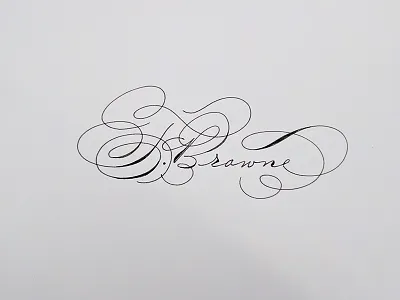 Signature? calligraphy hand drawn spencerian
