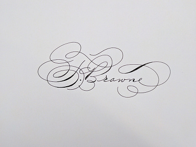 Signature? calligraphy hand drawn spencerian