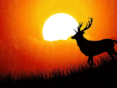 Sunrise time deer illustration deer deer illustration evening time grass sunrise