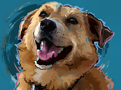 Gus - Pet Portrait Commission animal artwork digital painting dog illustration pet portraits portrait