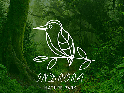 Wildlife Sanctuary - 02 branding fatlineillustration illustration kingfisher nature