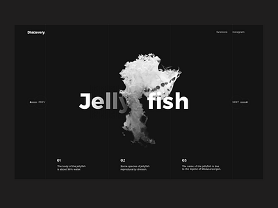 Jellyfish