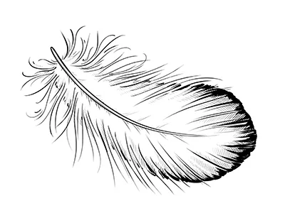 Fjallraven 20 brand concept illustration logo