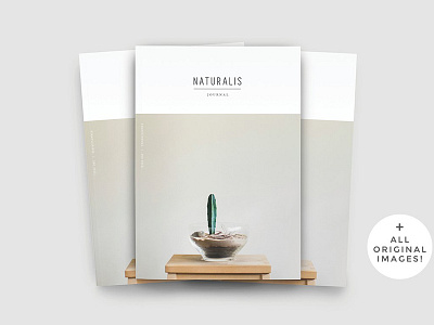 NATURALIS Lookbook / Magazine brochure template clean fashion fashion magazine folio template lookbook lookbook design lookbook template magazine modern modern magazine portfolio