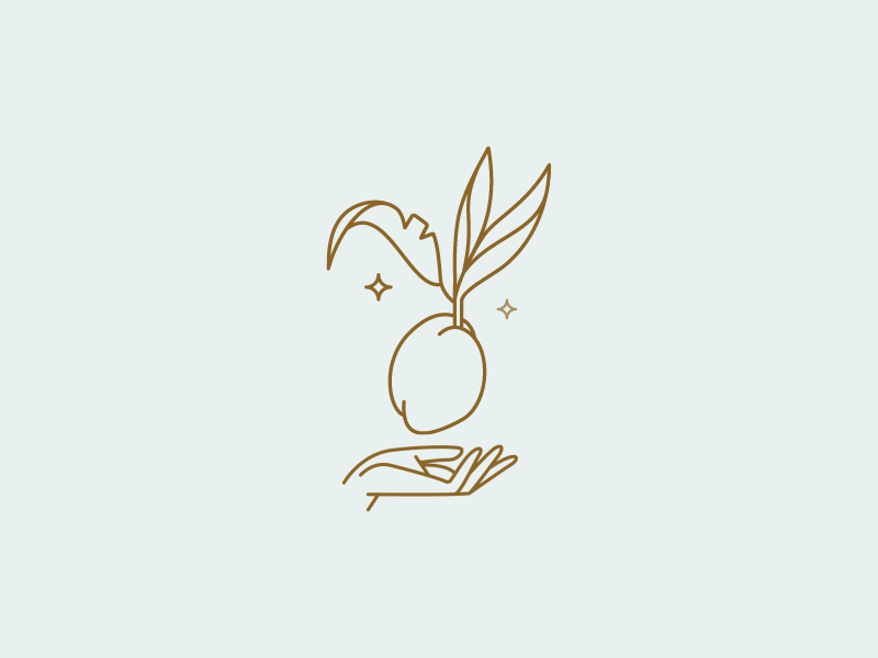 Illustration coconut illustration linear logo simple