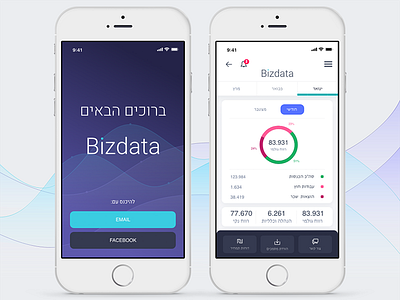 Bizdata - App Design analytics app business clean dashboard design interface ios mobile ui ux