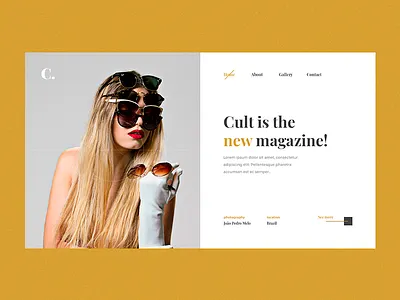 Landing page - Daily UI 003 004 dailyui photographer photography ui ux