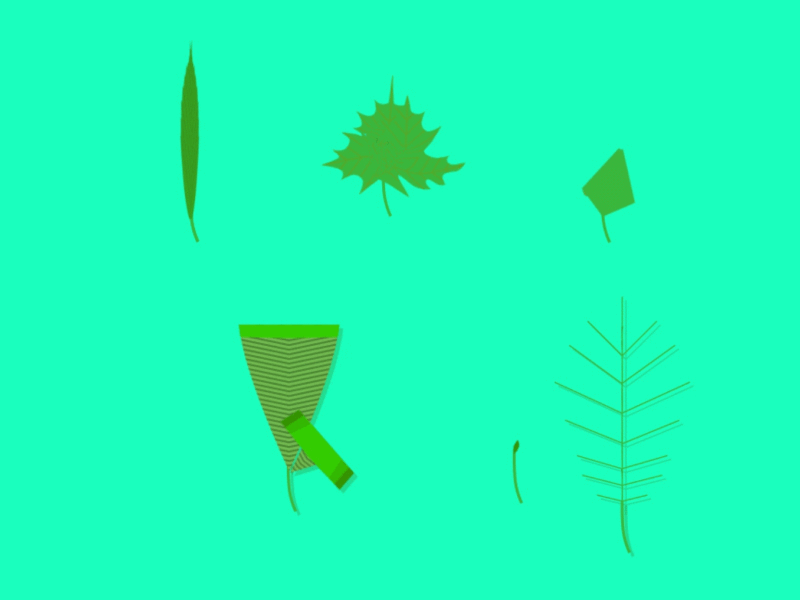 Leaves 2d after effects illustration leaves motion design motion graphics nature