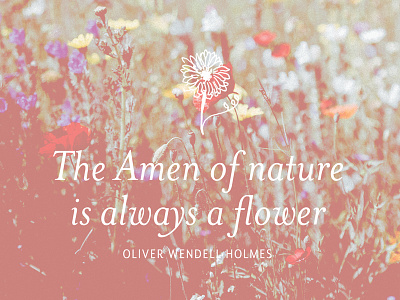 Amen of Nature brand brand identity branding identity quote