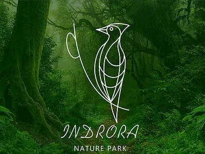 Wildlife Sanctuary - 03 branding fatlineillustration illustration nature woodpecker