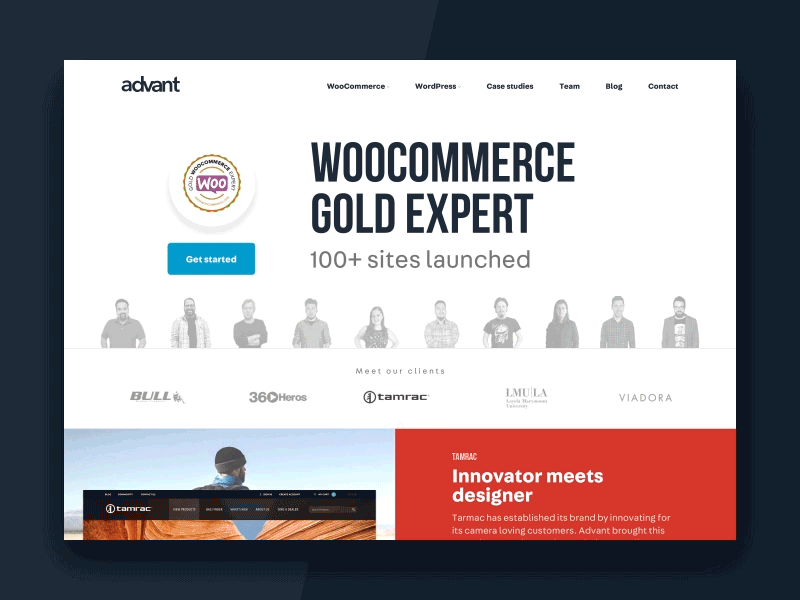 Agency Website advant agecy animation principle ui website woocommerce