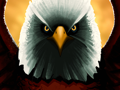 Bald Eagle bird digital painting eagle illustration painting