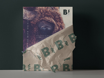 Buffalo brand branding brandingdesign brandingidentity brandinspiration creative design designinspiration graphicdesign logodesign visionaryplayground vpagency