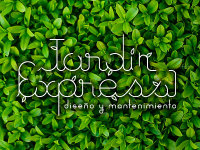 Jardín Express logo branding design logo logotype type typography