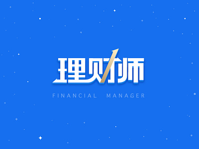 Financial Manager