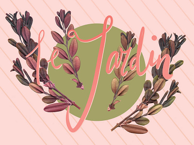 Le Jardin background drawing hand lettering illustration logo painting pattern pink plants surface design textile design typography