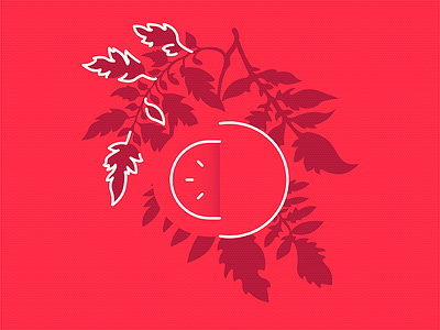 Deconstructed tomato abstract dynamic line linework negative spage outline red shadow tomato tomato illustration tomato plant vegetable illustration