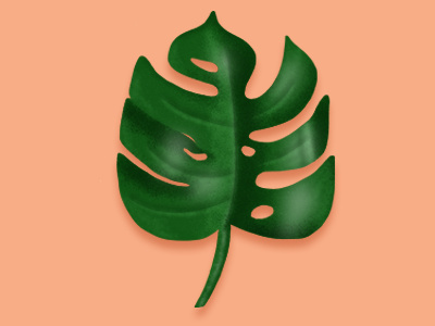 Mr. Leaf design green illsturation leaf palm leaf peach plant texture