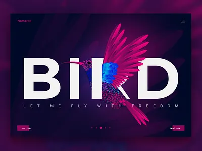 Let me Fly bird color gradient trendy ui