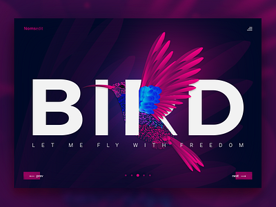 Let me Fly bird color gradient trendy ui