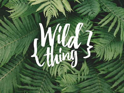 Wild thing adventure exotic jungle logo wild