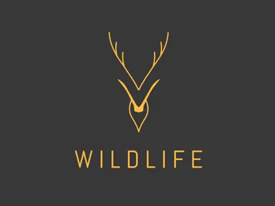 Thirty Logos | Day 6 | Wildlife branding concept design flat graphic design graphic designer icon illustration lettering logo logo design minimal photoshop thirty logos thirtylogos type typography vector