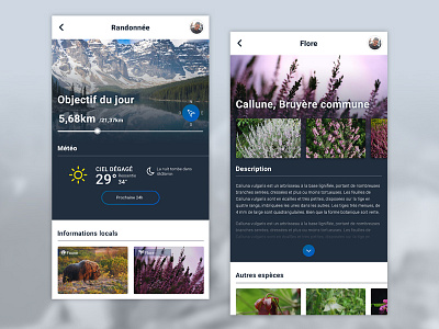 Hiking Canada app branding canada design mobile nature ui ux