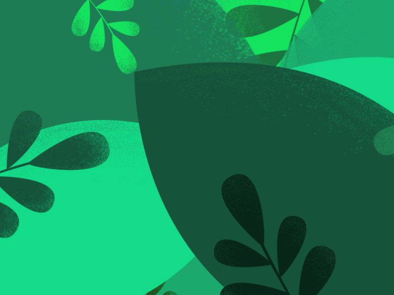 Ladybug animation beetle forest gif green insect ladybug leaves loop motiongraphics