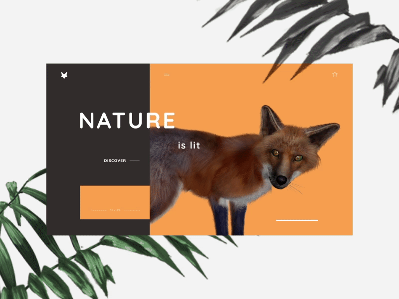 Nature - Animated UI after effects animals animated animation concept creative design flat interaction interaction design landing page minimal motion prototype ui ui animation uiux web web design website
