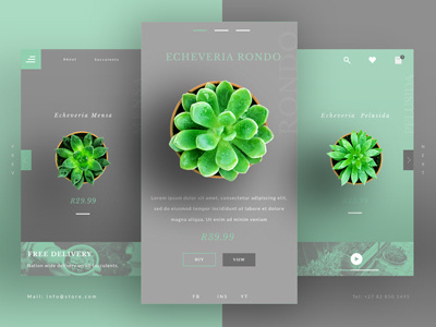 Succulent UI UX Landing Page design ecommerce landing page ui ux uxui web website