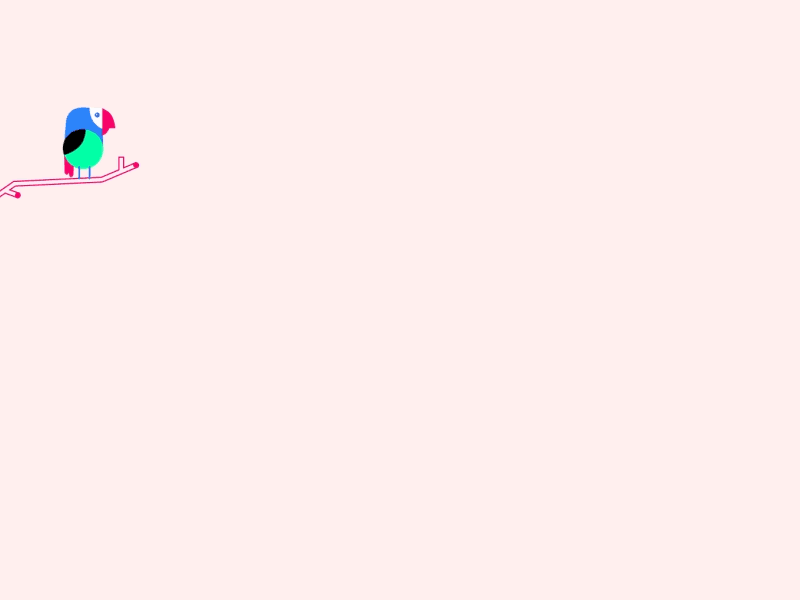 Oops! after effect animals animation character fly illustration parrot