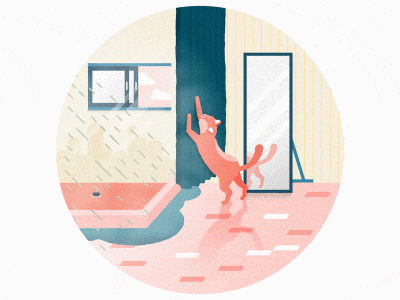 Dominga scratching animation animation 2d cat design flat gif gif. illustration