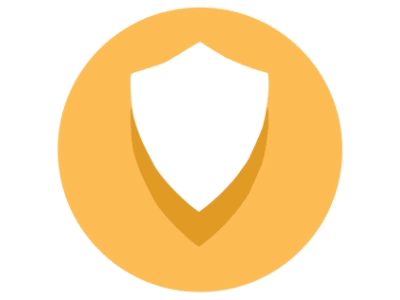 Shield Motion Icon animated icon icon motion