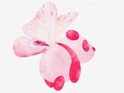 Panda Angel bear break butterfly cute dream flying fun panda angel clip art pet pink png sticker unique vacation