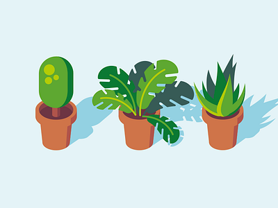 House Plants flat house illustration nature plants vector